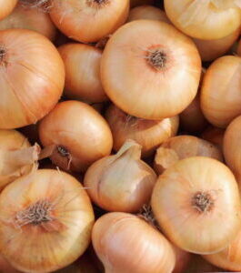 ONION